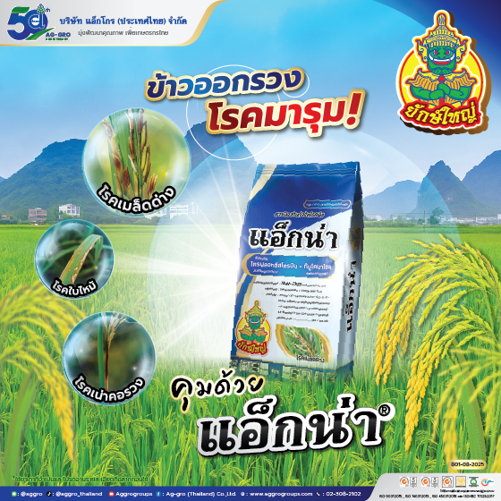 Artboard 1 copy 4AW แอ็กน่า AG ปี68 Web